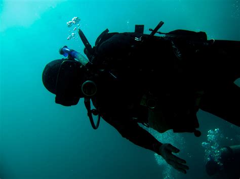 Free Images Sea Water Ocean Diving Underwater Sydney Island