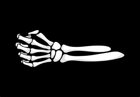 Skeleton hand clenches into a bony fist gesture 29694754 Vector Art at Vecteezy