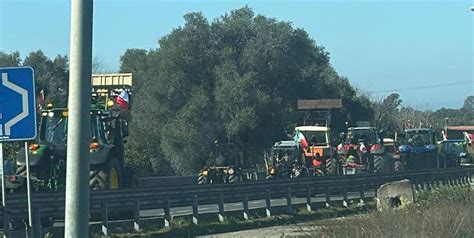 La Protesta Degli Agricoltori A Reggio Calabria