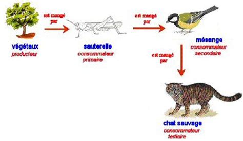 Thème 4 SCIENCES INVERSÉES AR ANS