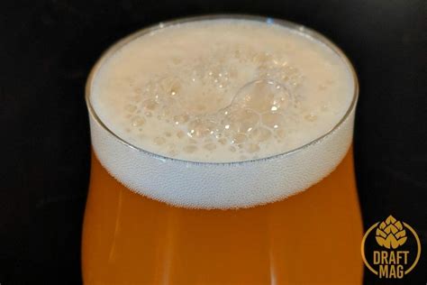 Best Ipa Beer Top Ipa Beers To Enjoy This Season