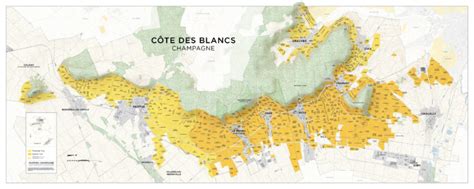 Inédit les nouvelles cartes de la Champagne Viticole REFLETSACTUELS