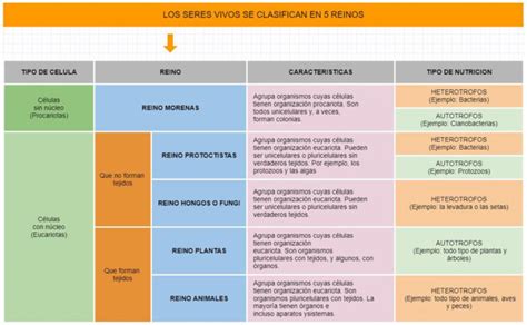 Reino Animal O Animalia Qué Es Clasificación Nutrición Y Ejemplos