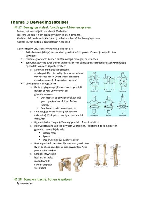 MENS TOT CEL Thema 3 Thema 3 Bewegingsstelsel HC 17 Bewegings