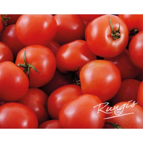 Rungis Tomaten A Prijs Per Kg 2614410 Horesca Smulders