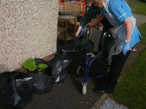 Gardening At Movilla Movilla House Nursing Home Newtownards