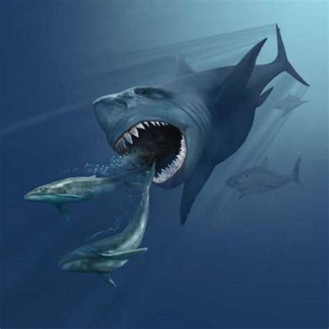 The Biggest Shark To Have Ever Lived Was Wiped Out During A Global Extinction Of The Ocean S