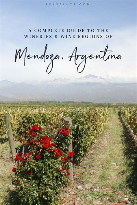 The Best Wineries In Mendoza A Wine Lovers Complete Guide South