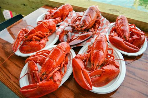 Down the Maine Lobster Trail - A Culinary Adventure