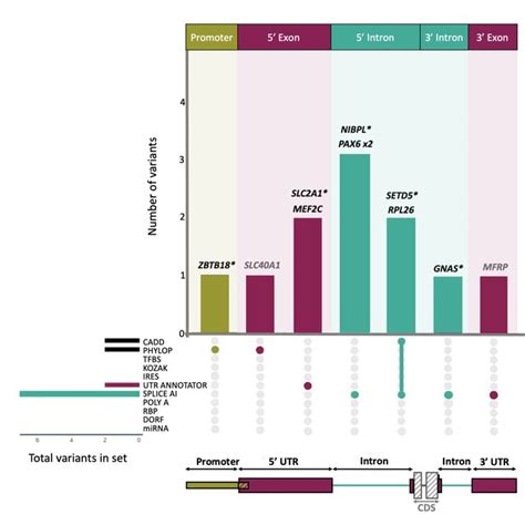 Prioritised De Novo Variants Split By Region And Variant Annotations