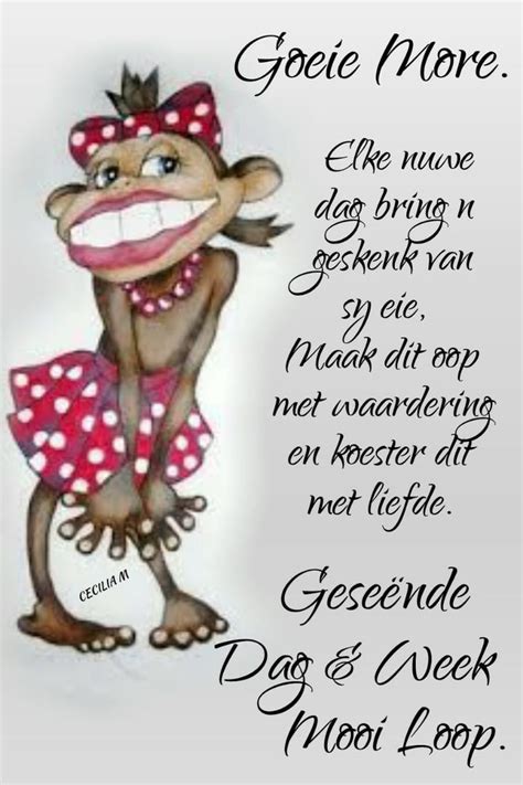 Pin By Celia Preez On Goeie Môre Good Morning Greetings Morning Greetings Quotes Good