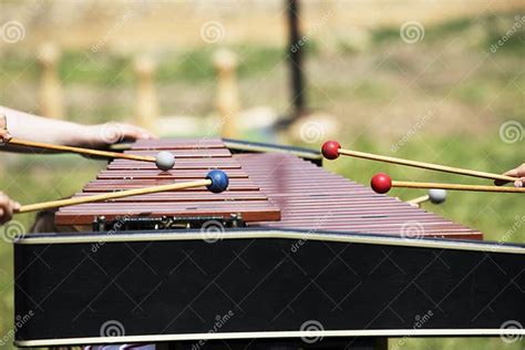 Xylophone With Playing Hands Red Marimba Xylophone Music Percussion Instrument Stock Image