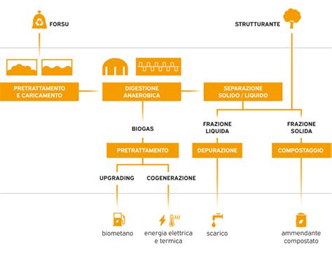 Impianti Biogas Da Forsu Dai Rifiuti Al Biogas Sebigas