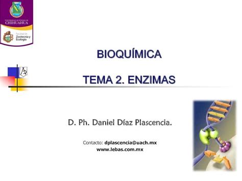 Pdf Bioqu Mica Tema Enzimas Clasificaci N De Las Enzimas Creado