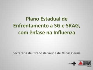 Plano Estadual De Enfrentamento A Sr E Srag Nfase Na Influenza Ppt