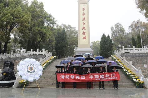 清明祭英烈 丰碑励前行——淅川法院开展清明祭扫主题党日活动 中华网河南