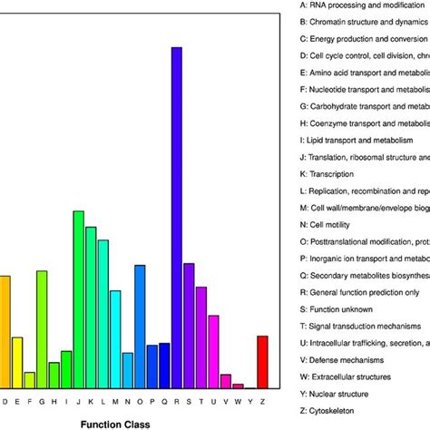 Cluster Of Orthologous Groups COG Classification Of Putative Proteins