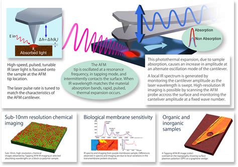 Tapping Afm Ir Bruker