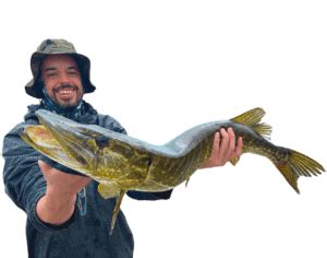 Stage De Peche Au Carnassiers En Auvergne Manu Bizel Moniteur Guide