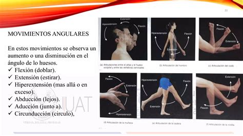 TIPO DE ARTICULACIONES Y SU CLASIFICACIÓN PPT