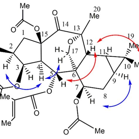 A 1 H 1 H COSY Couplings And B Key HMBC Correlations Of Compound 1