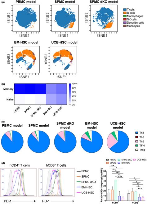 Immunophenotyping Of Hcd Cells Infiltrating The Spleen Of The