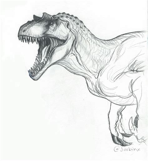 How To Draw A Allosaurus