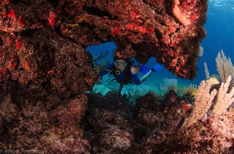 Snorkeling El Farito Reef - Isla Mujeres