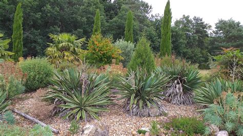 AVON PATRIMOINE Petite balade découverte dans le jardin sec de Baulay