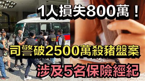 🔴1人損失800萬！司警破2500萬殺豬盤案，涉5保險經紀｜日更tv Youtube