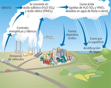 Mapa Mental De La Lluvia Acida Images Evolucion | Hot Sex Picture