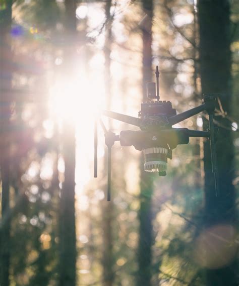 Deep Forestry Ouster