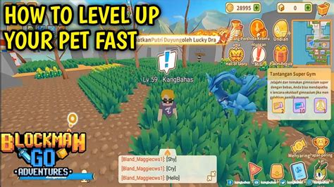 CARA NAIKIN LEVEL PET PALING EFEKTIF TRAINERS ARENA BLOCKMAN GO