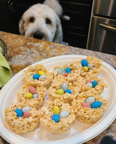 Jerry wants Easter eggs. : r/animalslookingatfood