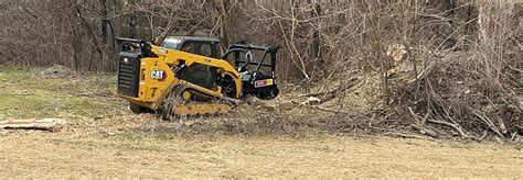 Land Clearing And Brush Removal Services Belles Tree