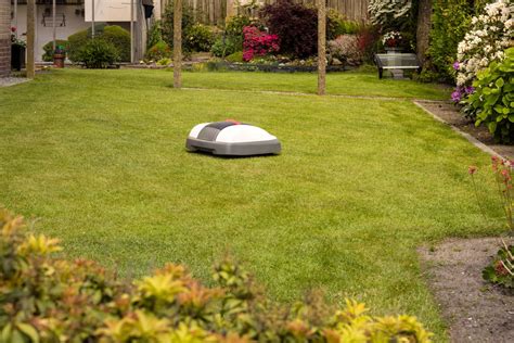 The Role of AI in Modern Lawn Care | GroundTech