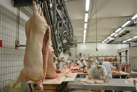 Lavorazione Savi Salumi Srl Macellazione E Lavorazione Di Carni Suine Produzione Di