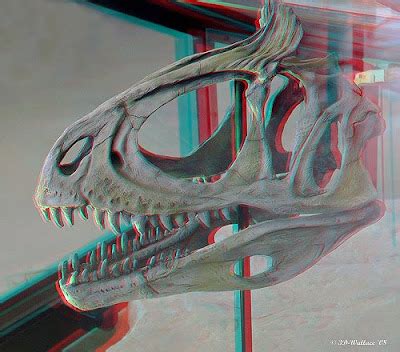 Continuação Imagens 3D Dinos Tephix