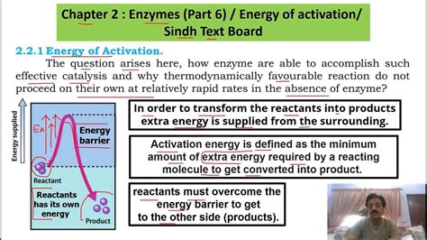 Chapter 2 First Year Biology Enzymes Part 6 Energy Of