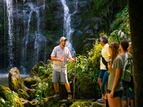 Hawaii Forest and Trail - Kohala Waterfalls Adventure - Hawaii Discount