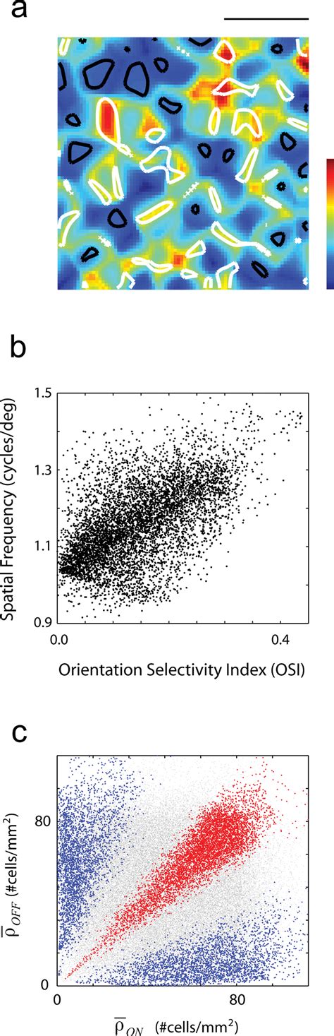 Spatial frequency maps and their relation to selectivity for ...