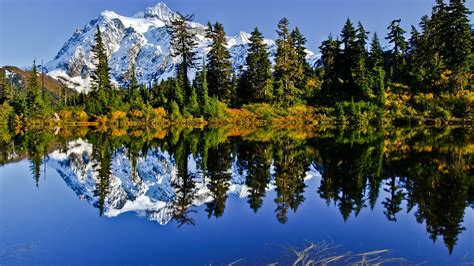 Fond Décran Des Arbres Paysage Forêt Montagnes Lac Eau La