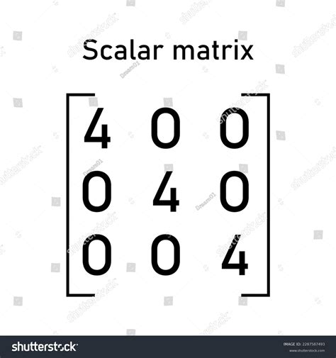 Scalar Matrix Types Matrices Mathematics Vector Stock Vector (Royalty ...