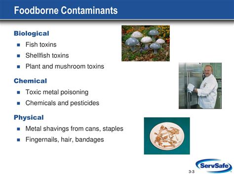 Ppt Contamination Food Allergens And Foodborne Illness Powerpoint