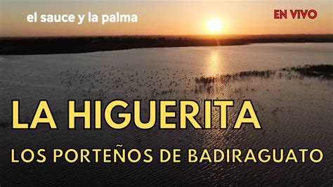 Los Porteños De Badiraguato La Higuerita EN VIVO YouTube Music