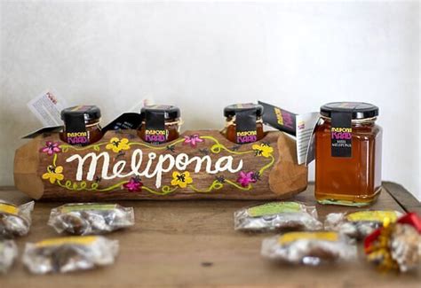 What Is Melipona Honey? How to Try This Delicious Yucatan Specialty