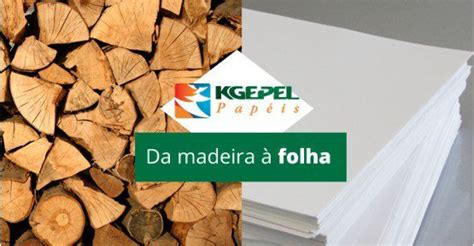 COMO É FEITO O PAPEL KGEPEL Papéis