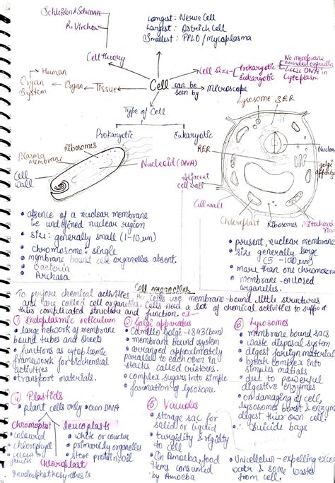 Class 9 Notes Biology Cell