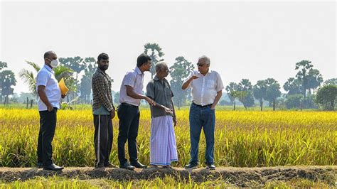 Sri Lanka To Immediately Write Off All Crop Loans For Farmers Sri Lanka