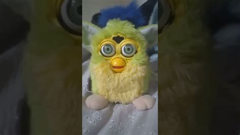 Here's my 1998 Original Furby | Fandom